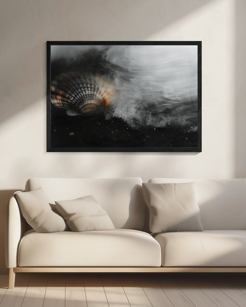 Whispering Shell | Canvas