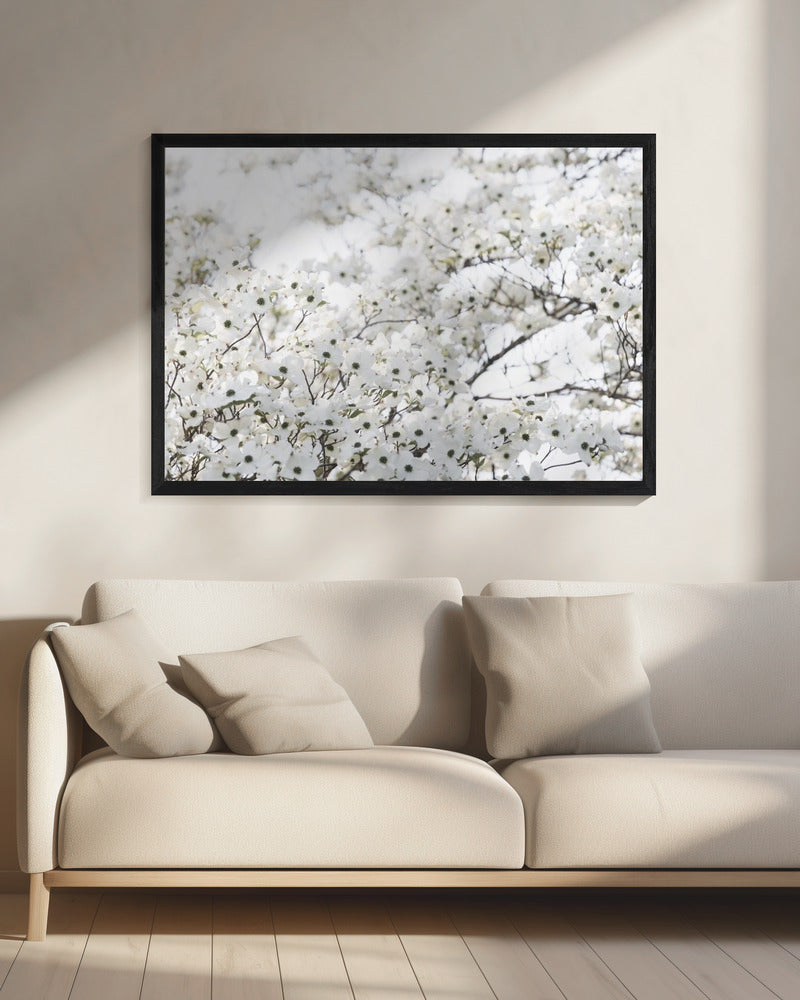 White Spring Tree 1 | Canvas