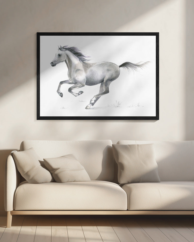 Dynamic Grace of A Galloping Horse | Canvas