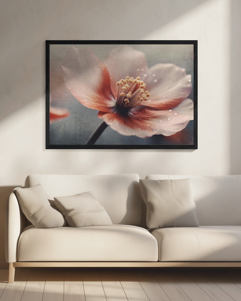 Petals of Serenity | Canvas
