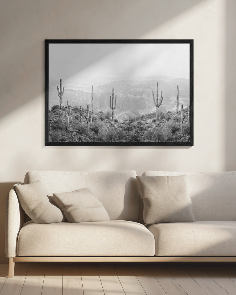 Western Cactus | Canvas
