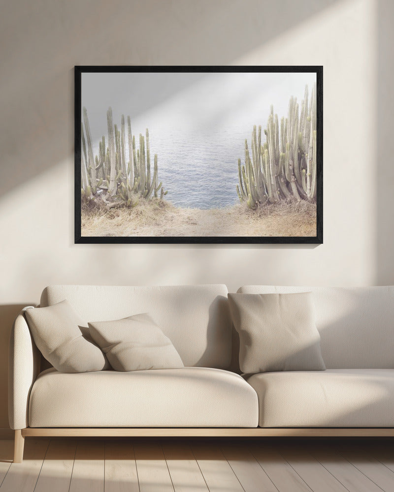 Ocean Cactus | Canvas