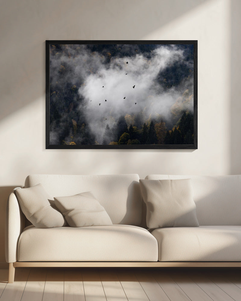 Foggy Woods 8 | Canvas