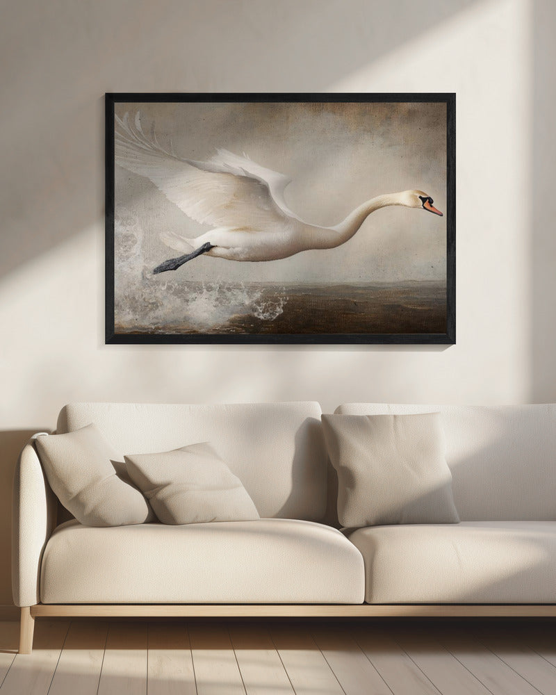 Graceful Flight | Canvas