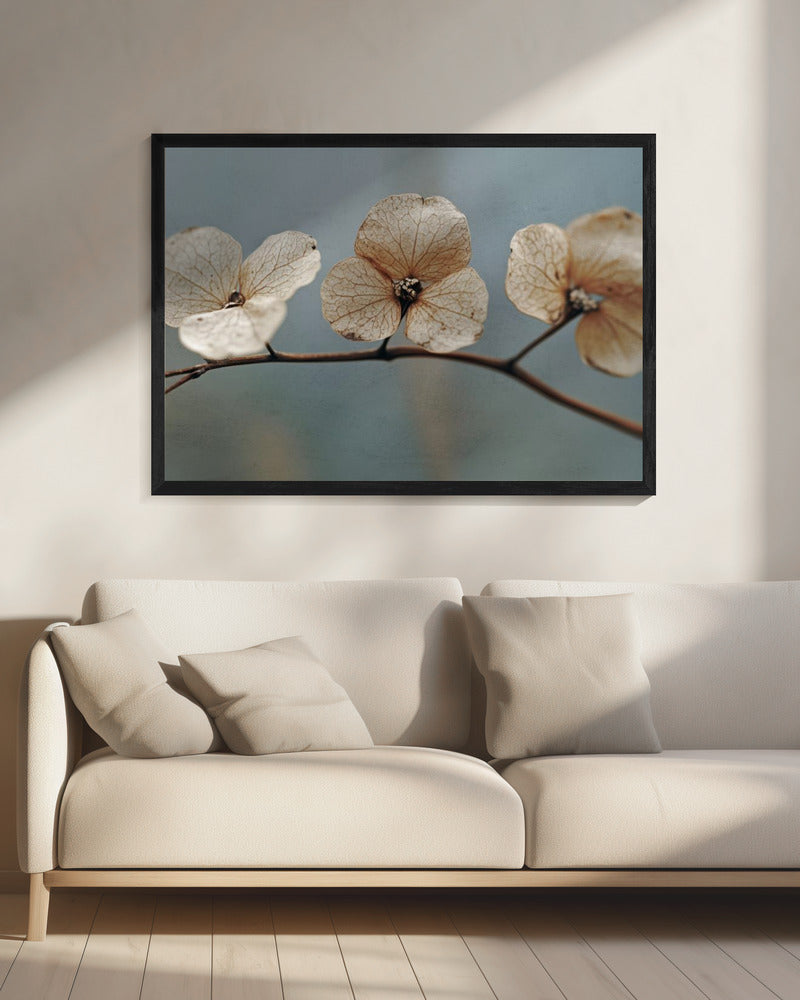 Whispering Petals | Canvas