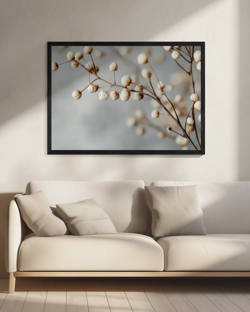 Dried Elegance | Canvas