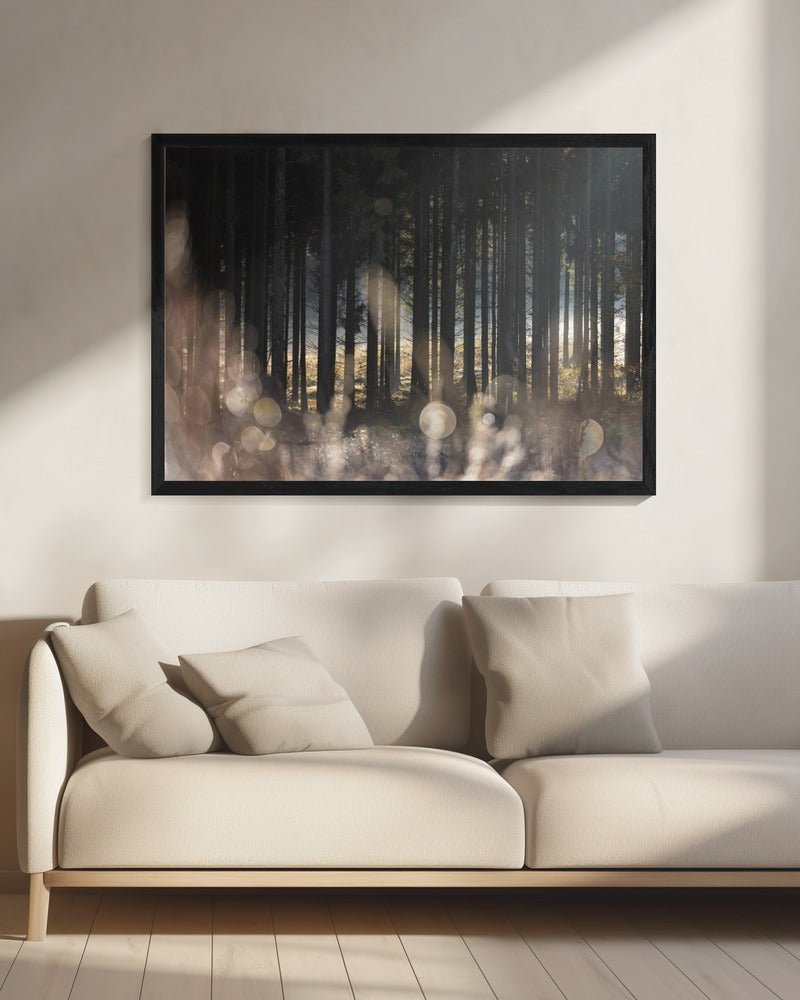 Forest Glow 1 | Canvas