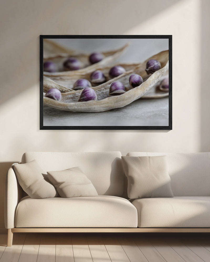 Purple Seed Symphony | Canvas