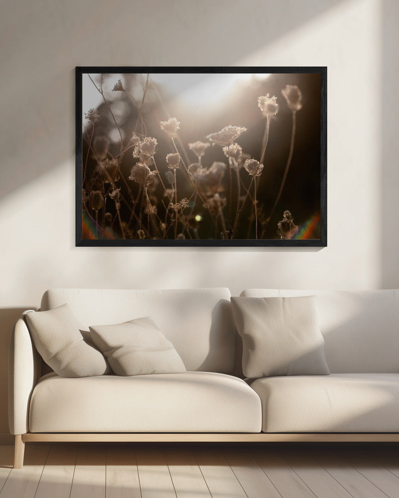 Warm Winter Light 3 | Canvas