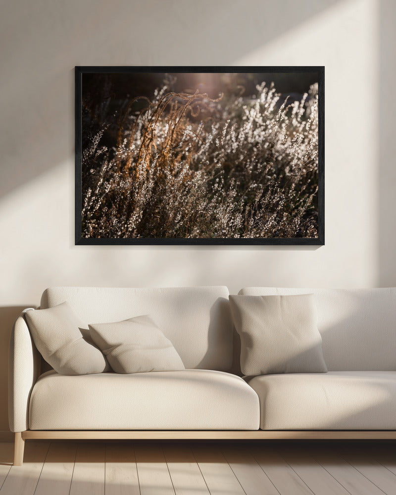 Warm Winter Light 4 | Canvas