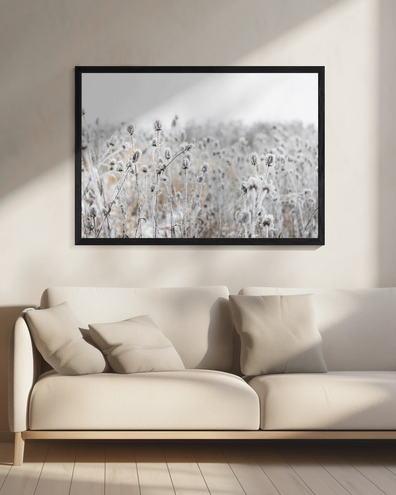 Winter Field 5 | Canvas