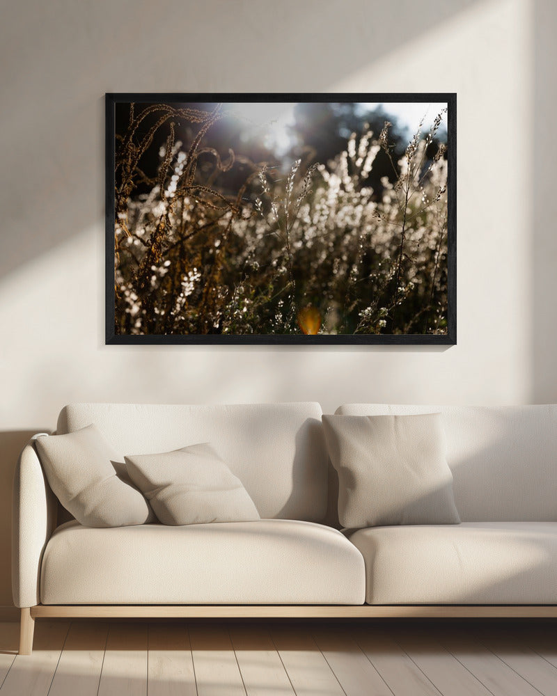 Warm Winter Light 7 | Canvas