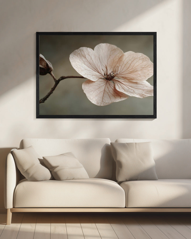 Delicate Bloom | Canvas