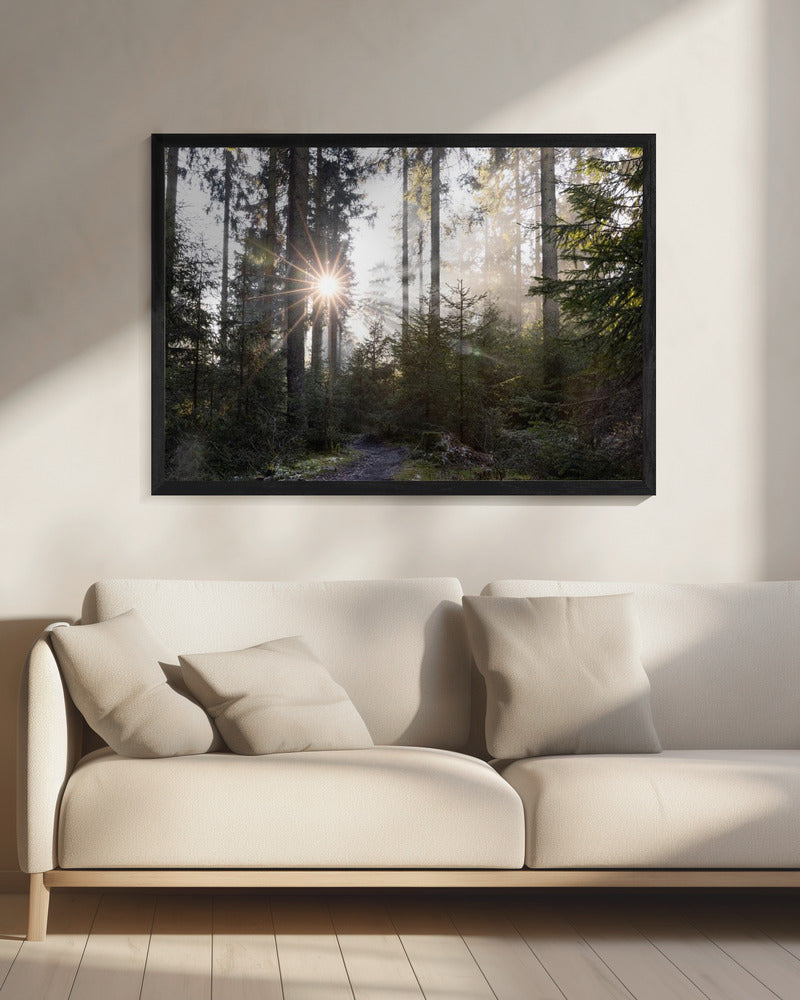 Hopeful Moments 2 | Canvas