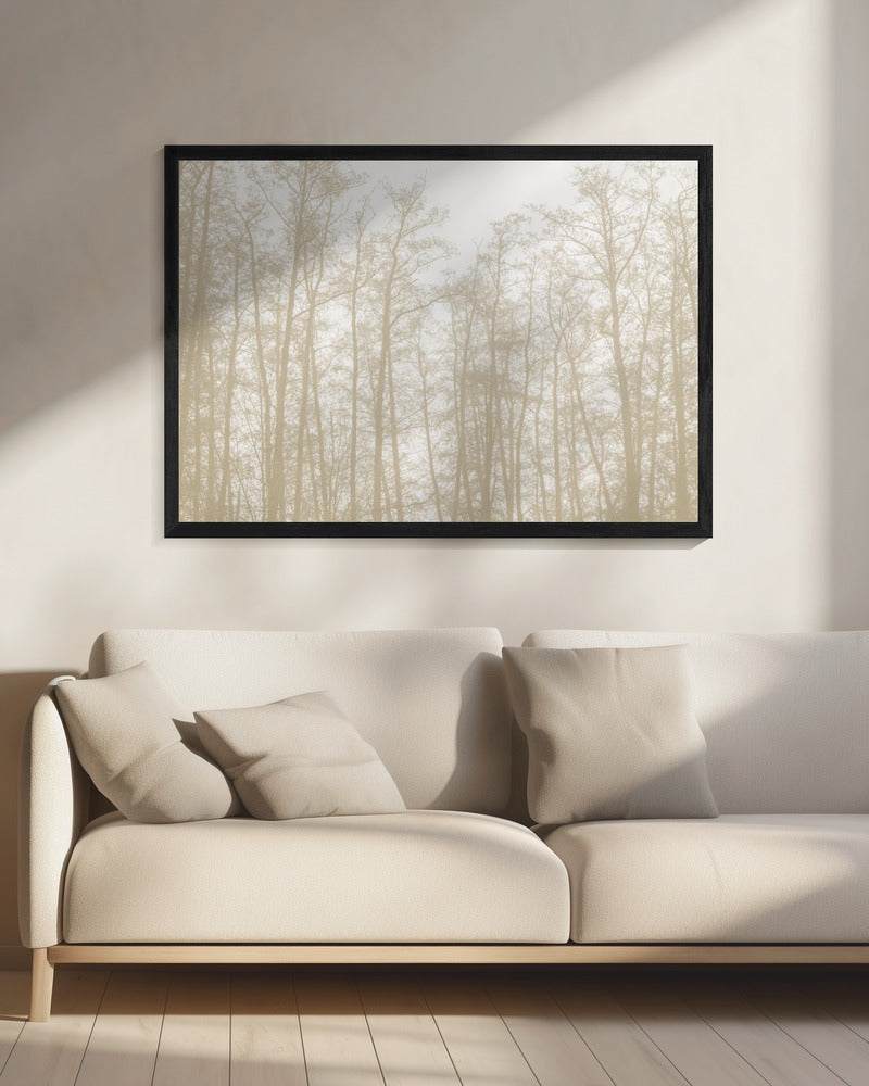 Tree Silhouettes 1 | Canvas