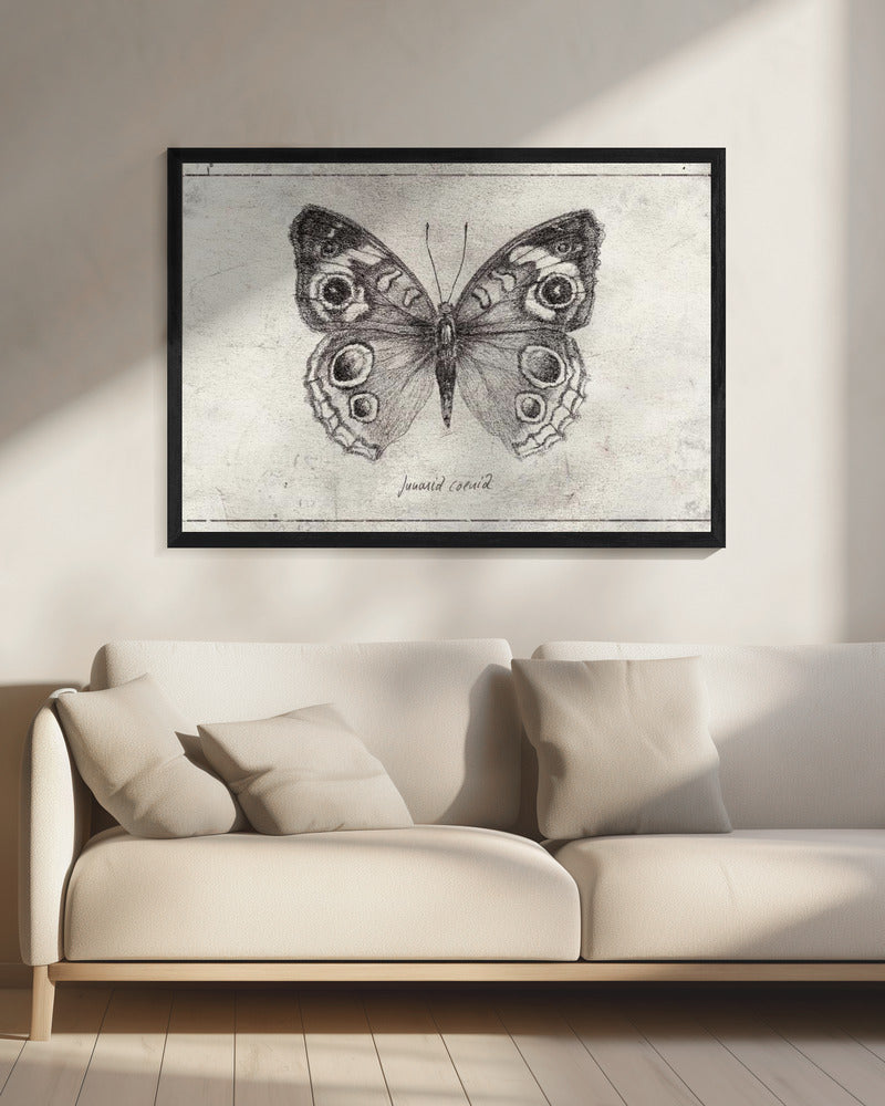 Butterfly Showcases Intricate Wing | Canvas