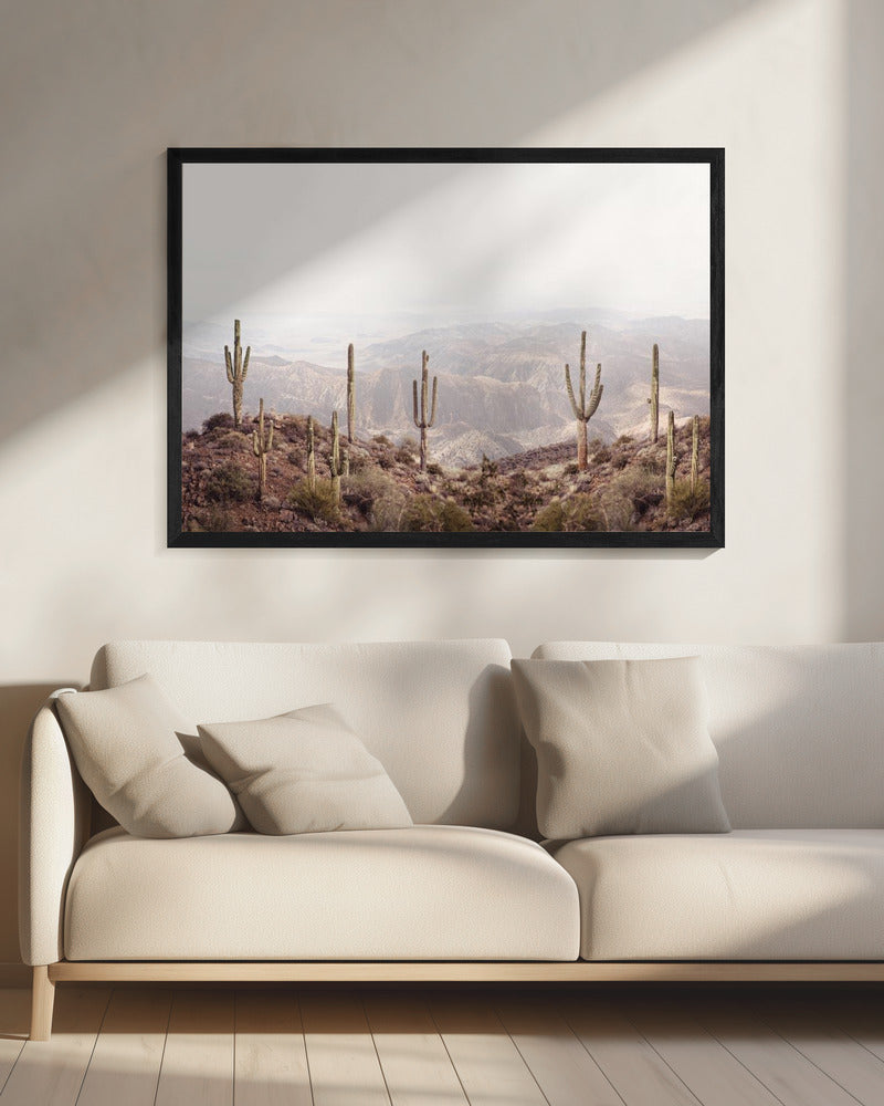 Arizona Valley | Canvas