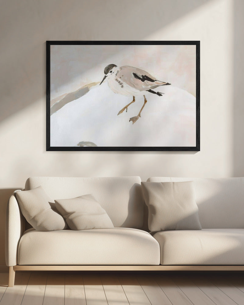 Cute Shorebird | Canvas