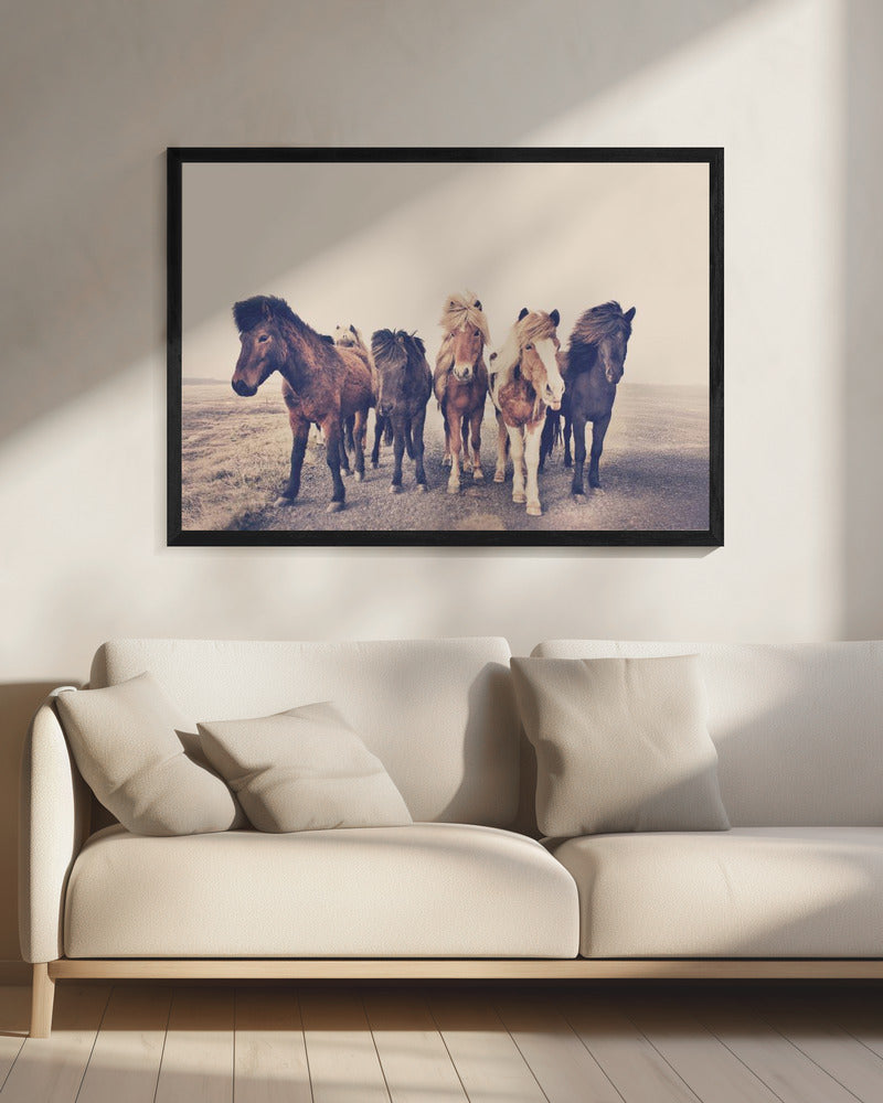 Horses | Canvas