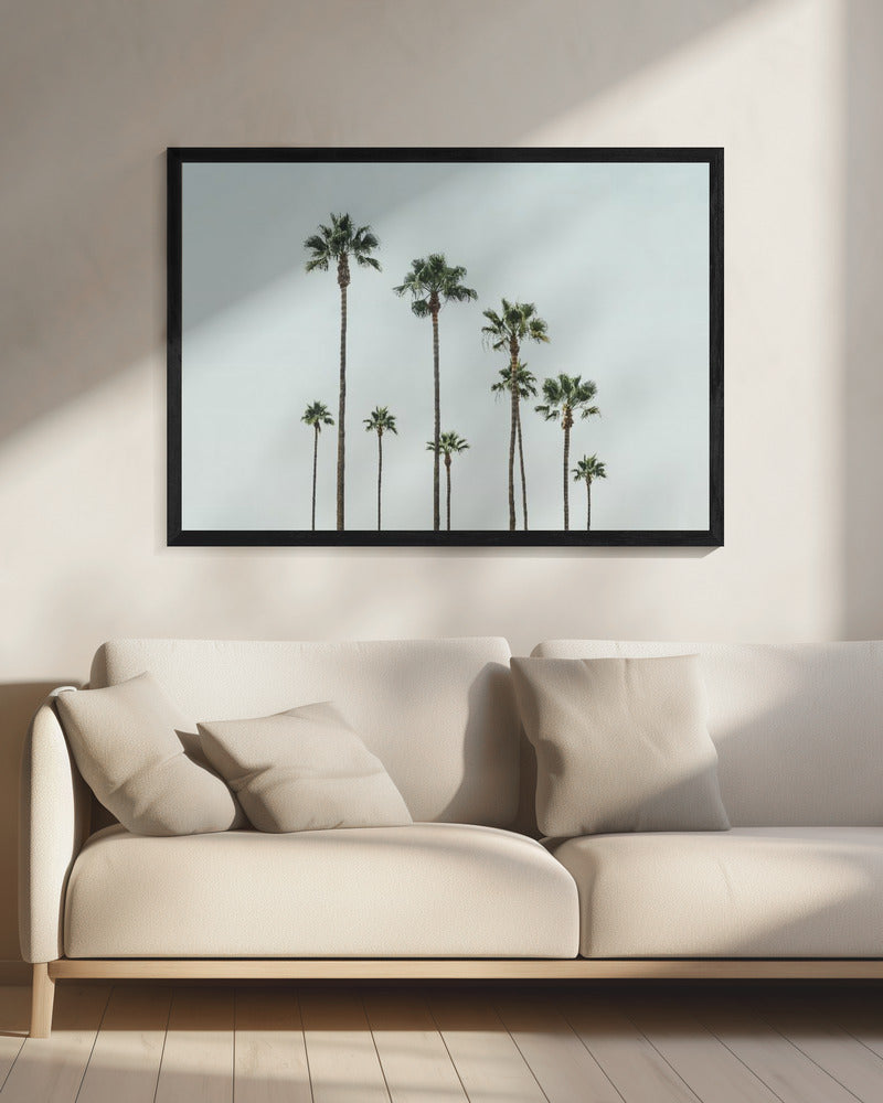 Cali Palms | Canvas