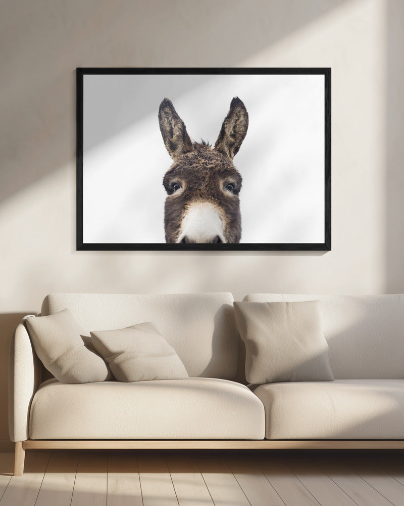 Peeking Donkey | Canvas