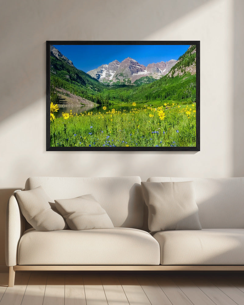 Maroon Bells Wildflowers | Canvas