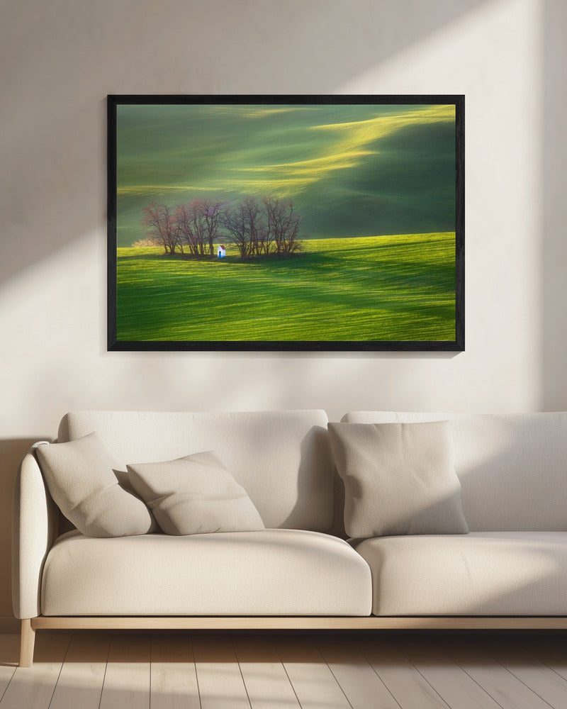 Fields... | Canvas