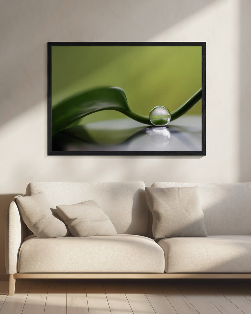 Green harmony | Canvas