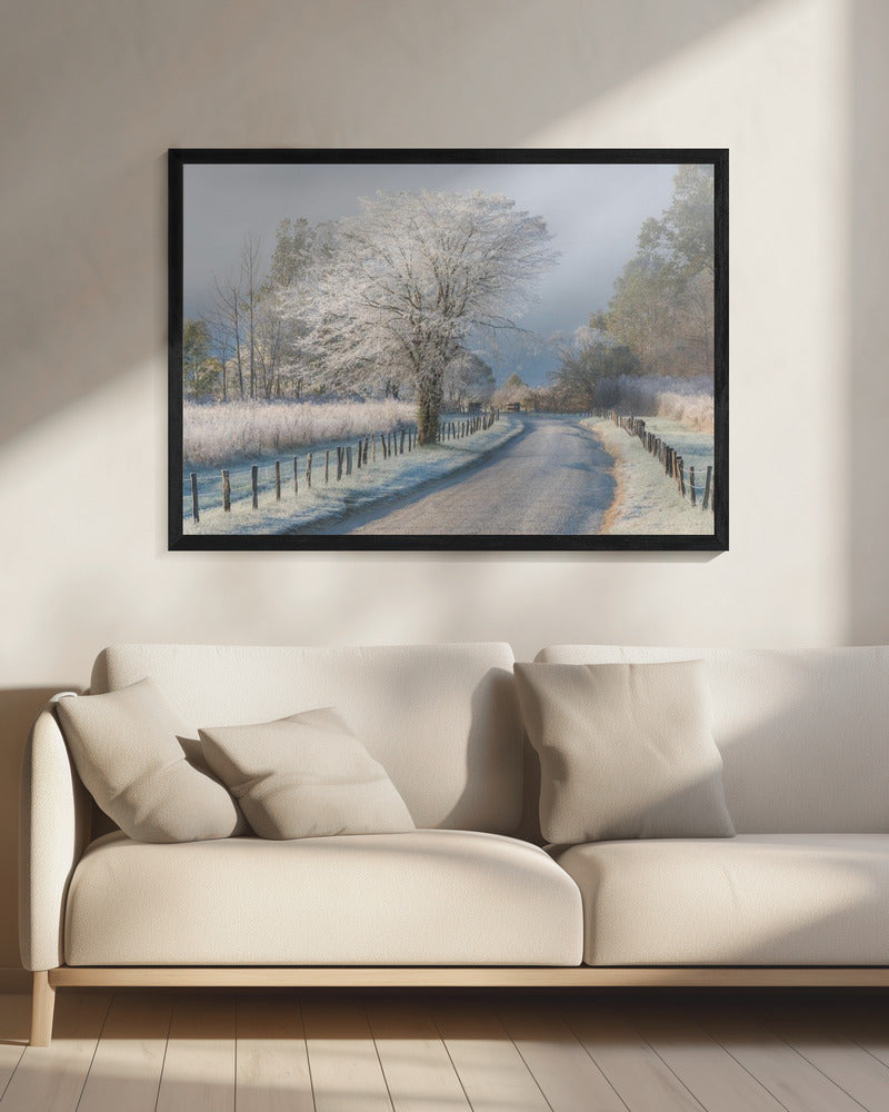A Frosty Morning | Canvas