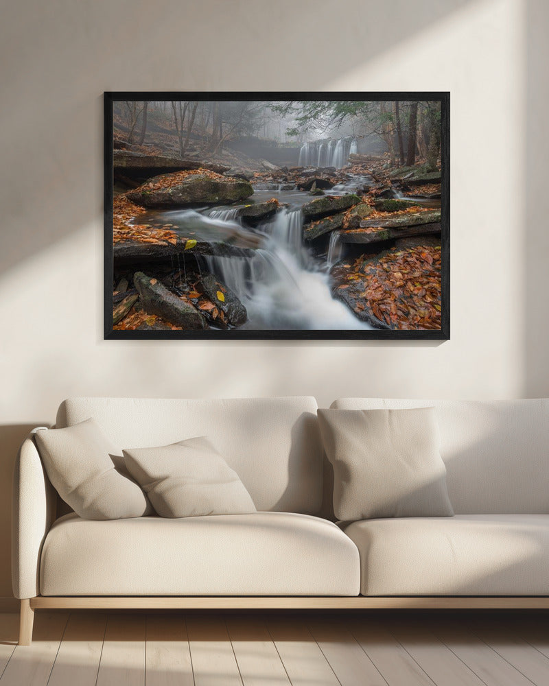 Morning Fog | Canvas