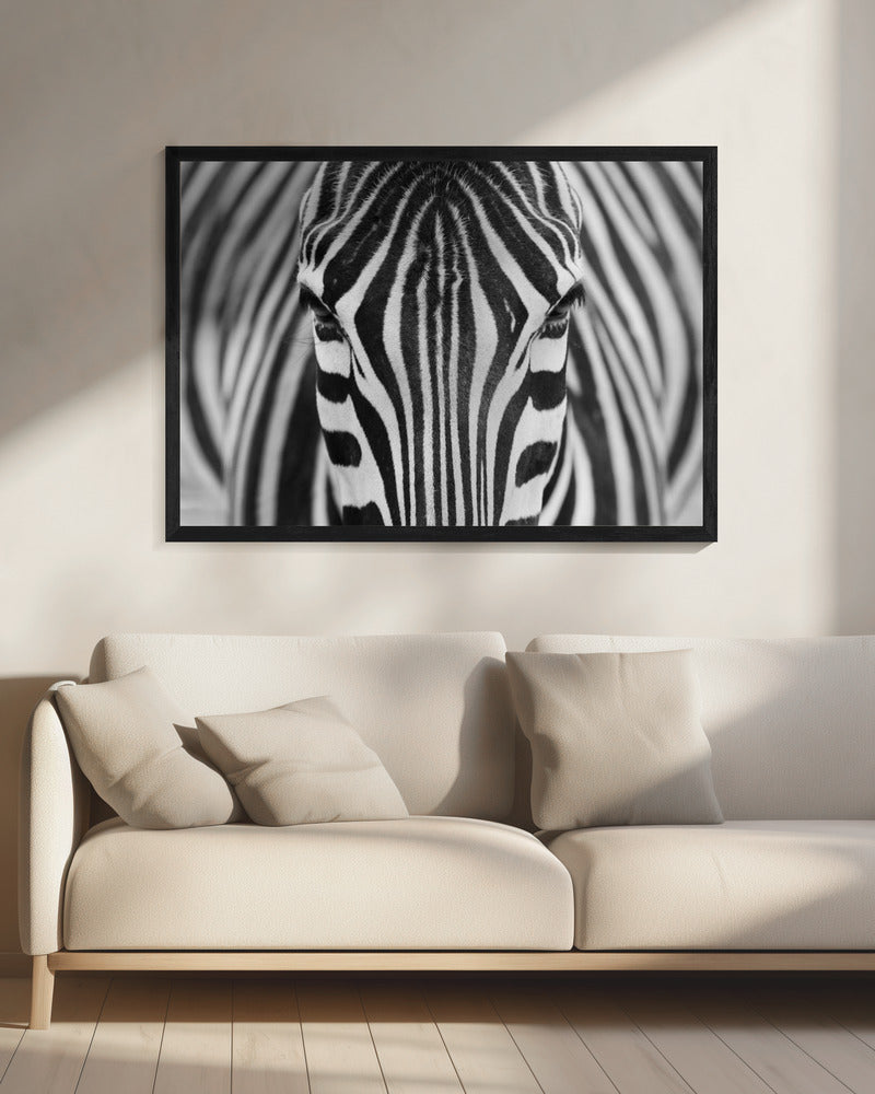 Zepra | Canvas