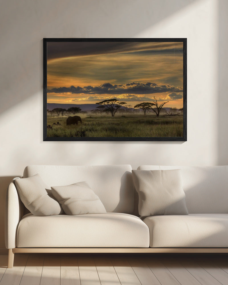 Africa | Canvas