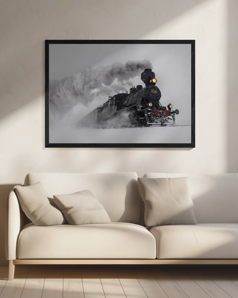 Little-Jumbo | Canvas