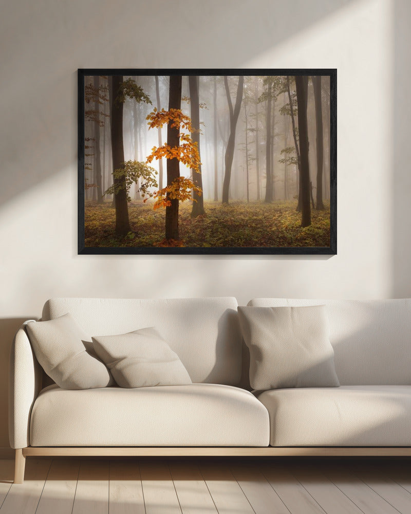 In November Light | Canvas