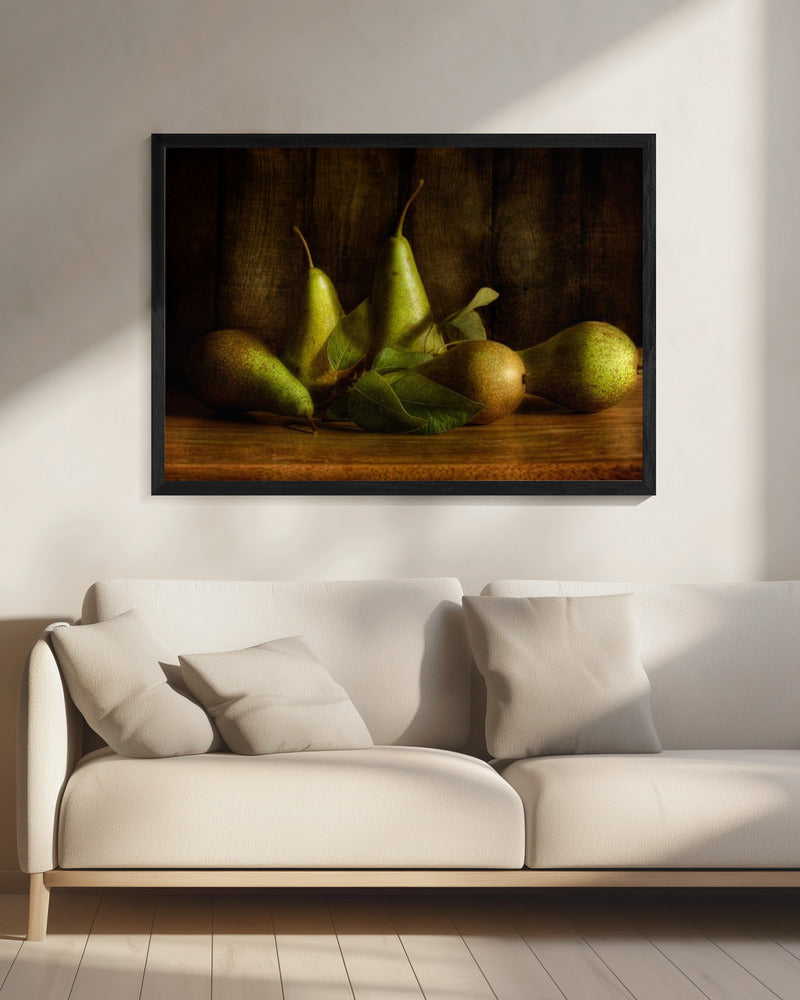 Pears | Canvas