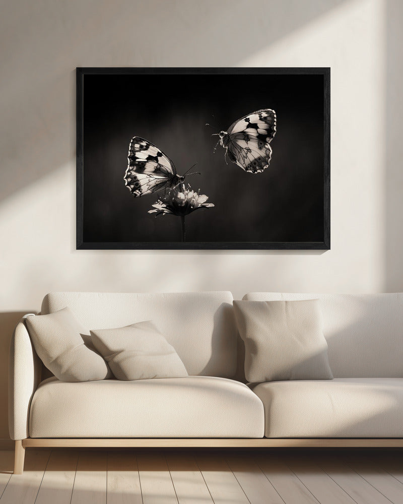 Medioluto norteña | Canvas