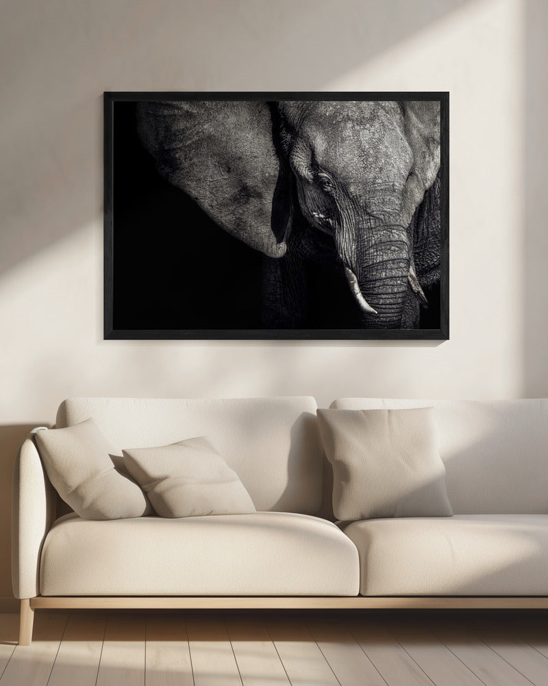 The Matriarch | Canvas