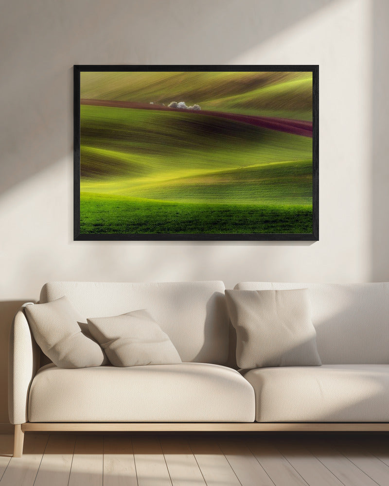 Golden fields | Canvas