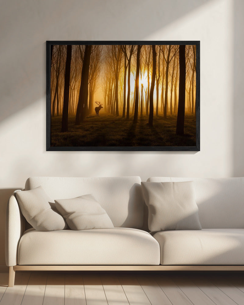 Once Upon a Time | Canvas