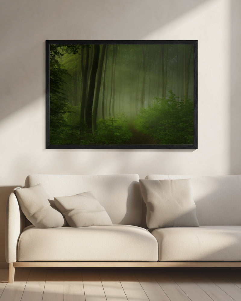 forest morning | Canvas