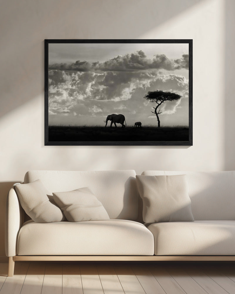 Silhouettes of Mara | Canvas