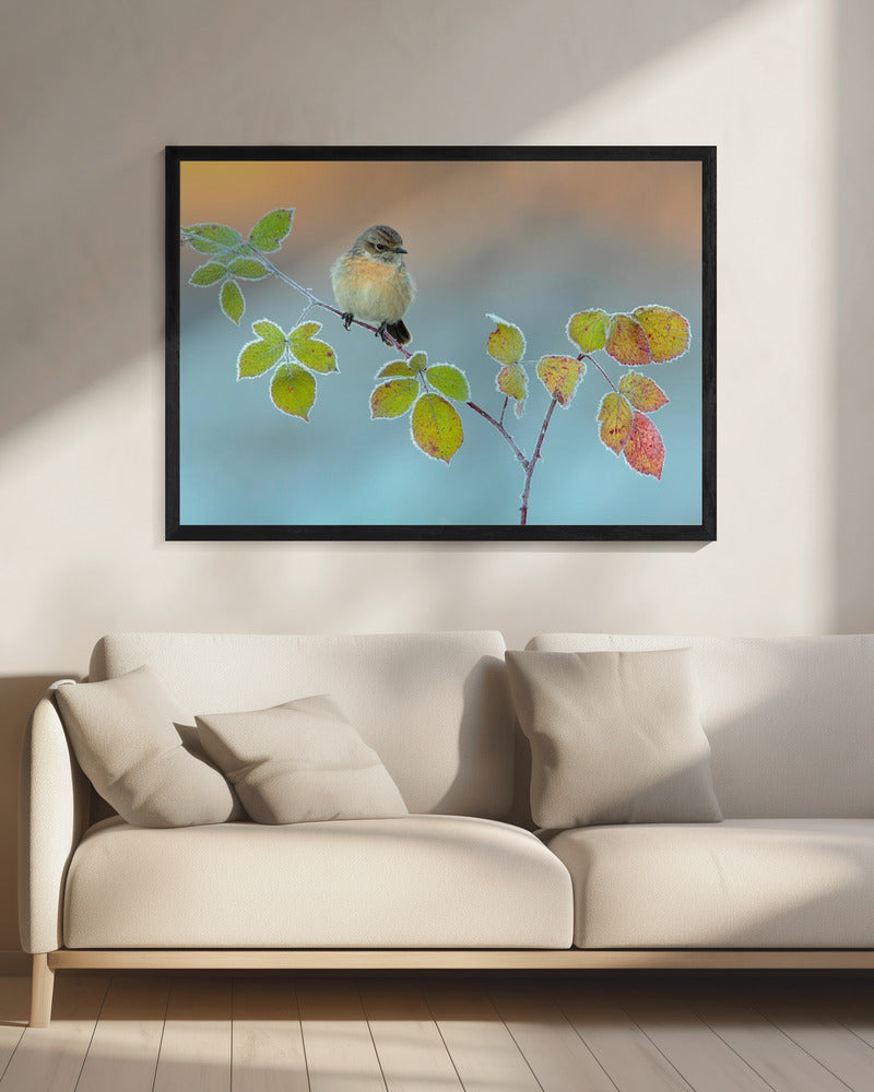 Winter colors | Canvas