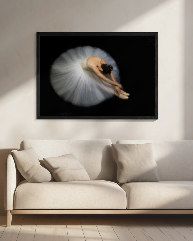 Elegance | Canvas