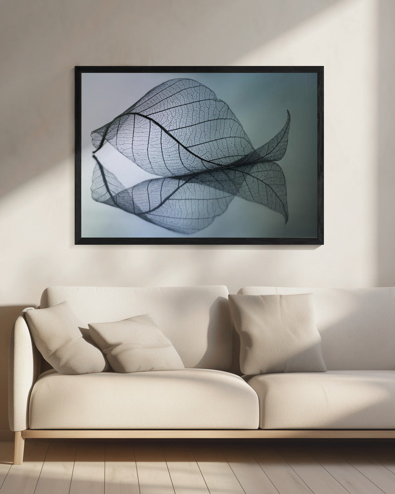 Curvaceousness | Canvas