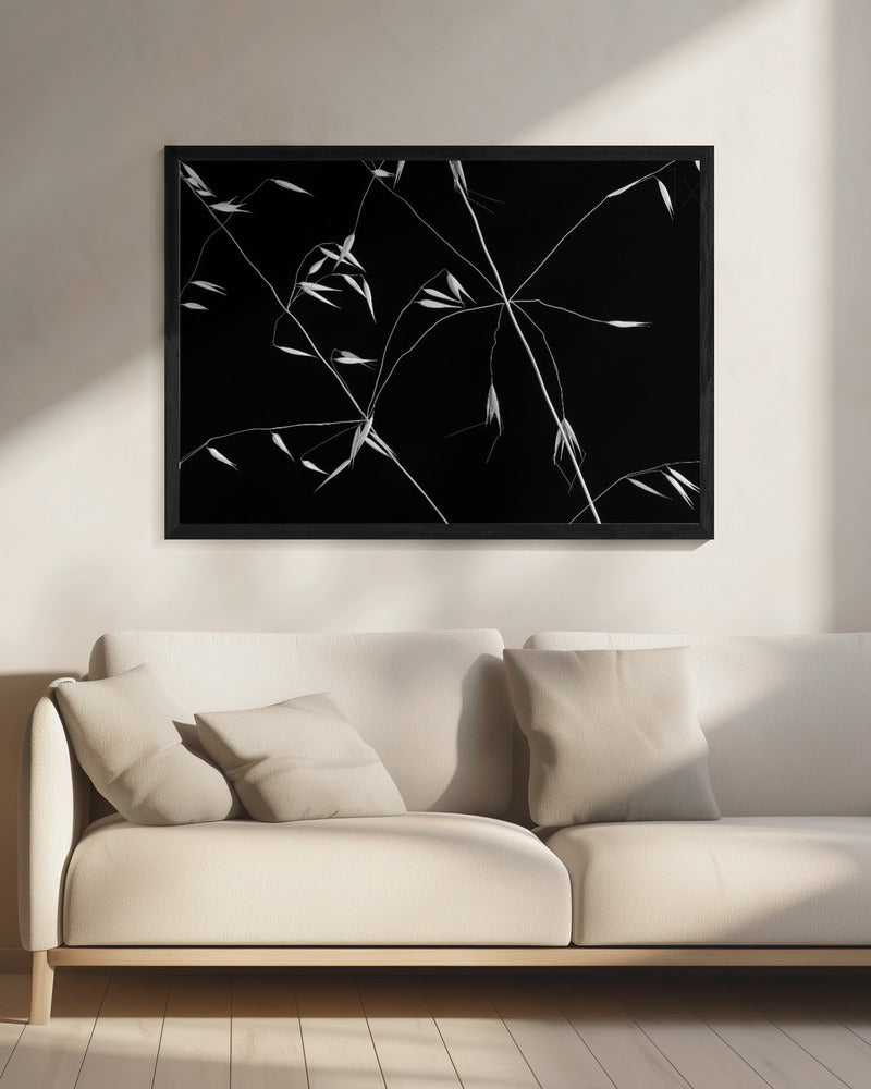 Crossed Lines | Canvas