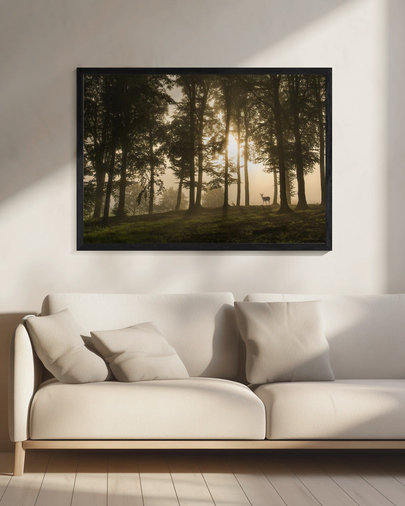 Deer in the morning mist. | Canvas