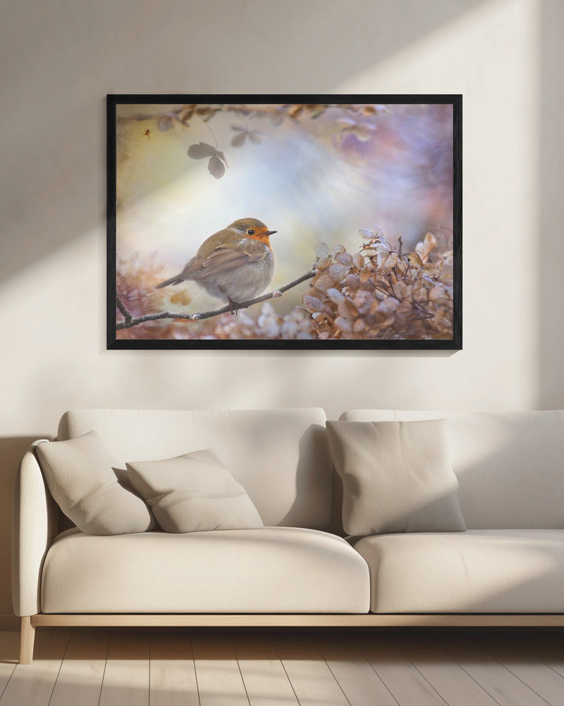 Robin on dreams | Canvas