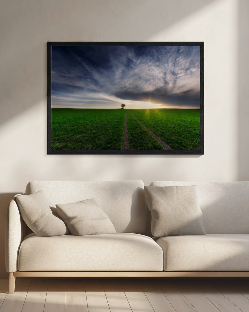 loner in the sun | Canvas