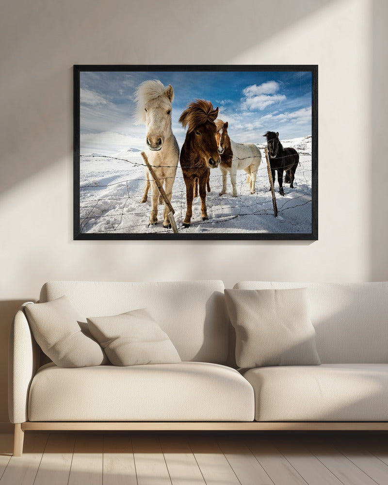 Icelandic Hair Style | Canvas