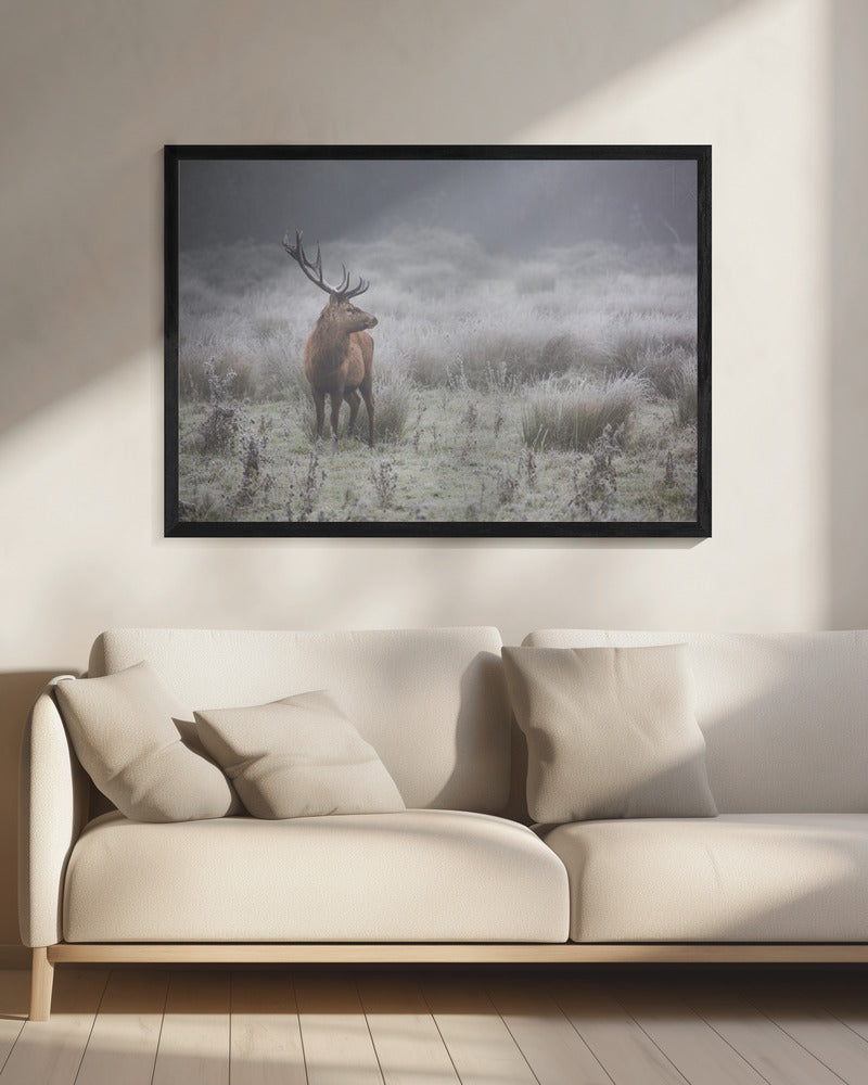 Prideful. deer . | Canvas